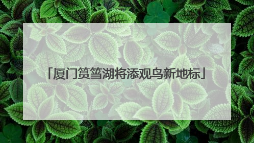 厦门筼筜湖将添观鸟新地标